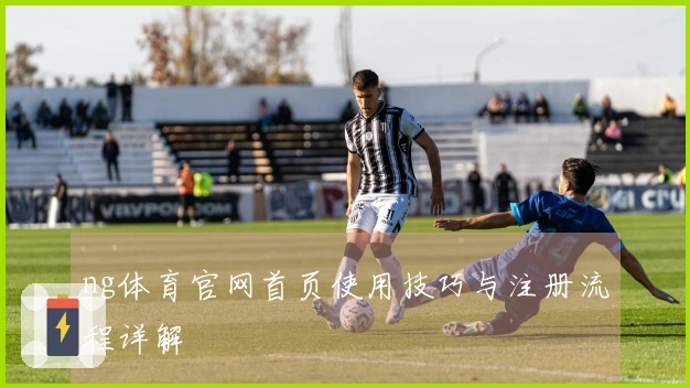 ng体育官网首页使用技巧与注册流程详解