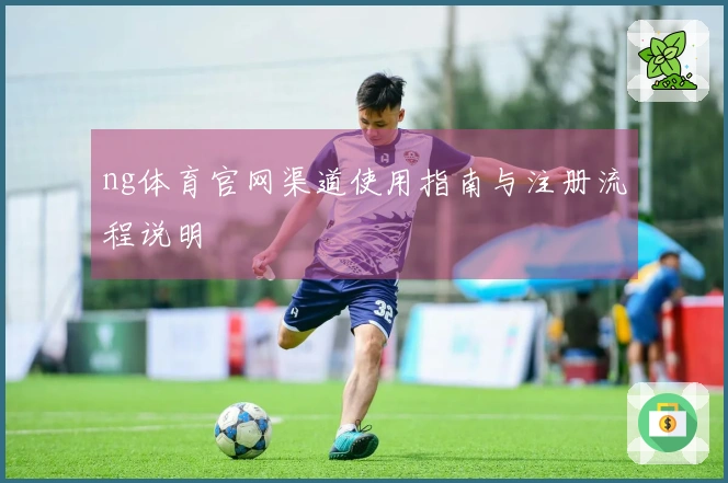 ng体育官网渠道使用指南与注册流程说明