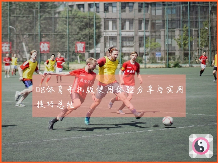 ng体育手机版使用体验分享与实用技巧总结