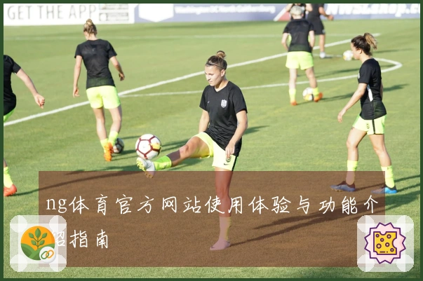 ng体育官方网站使用体验与功能介绍指南