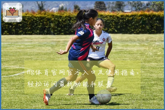 ng体育官网官方入口及使用指南,轻松访问最新功能和服务